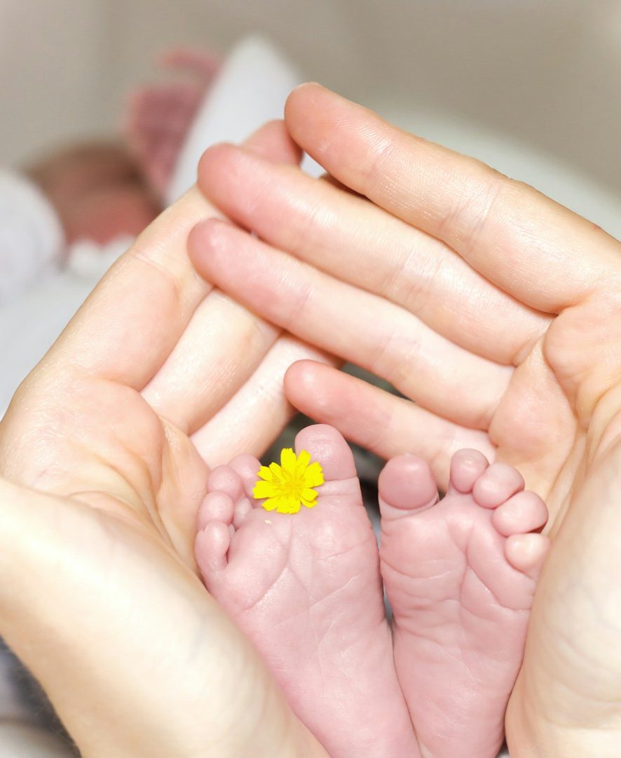 Zwei kleine Babyfüße mit einer gelben Blume, umgeben von Händen der Eltern.